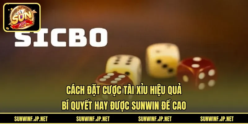 Cách Đặt Cược Tài Xỉu Hiệu Quả | Bí Quyết Hay Được SUNWIN Đề Cao