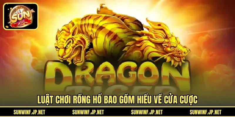Luật chơi Rồng Hổ bao gồm hiểu về cửa cược